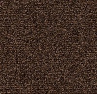 4726 Auburn Coral Classic Mat 2.05x3.00